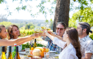 a group of peopel cheers their wine glasses to celebrate the sonoma harvest season