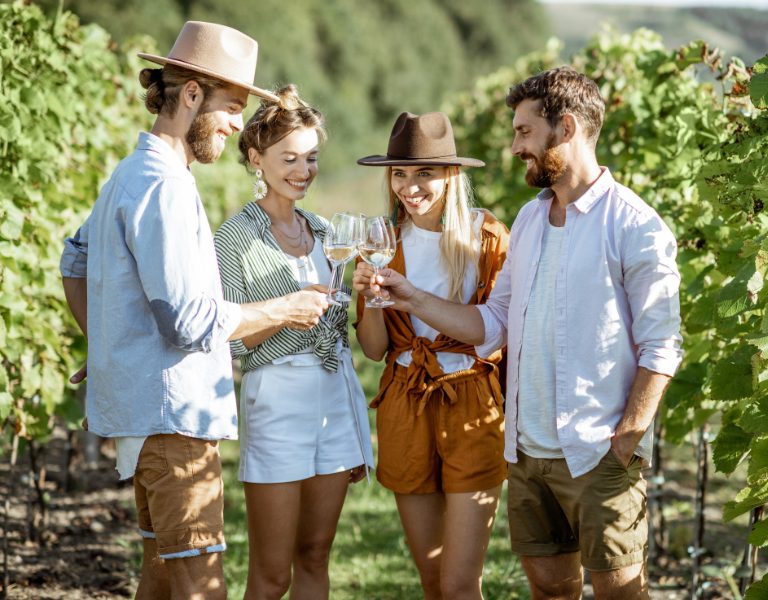 group of friends gather in a napa valley vineyard to wine taste